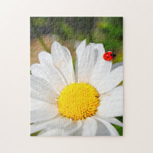 Cute Ladybird på Marguerite-Daisy Flower-Söt Pussel