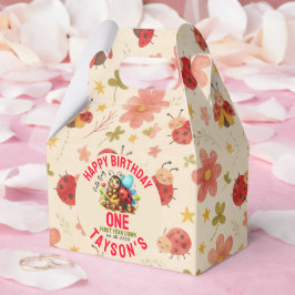 Cute Ladybug 1:a födelsedag | Kryp Temaparty Presentaskar