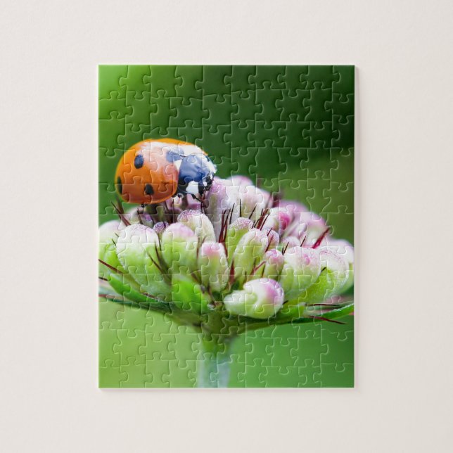 Cute Ladybug Pussel (Vertikal)