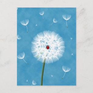 Cute ladybug sitta ovanpå en dandelion vykort