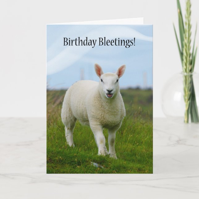 Cute Lamb Birthday Bleetings - Lamb i Fält Kort (Framsida)