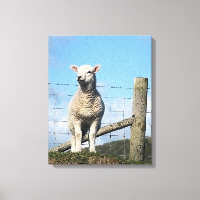 CUTE LAMB CANVASTRYCK (Framsida)
