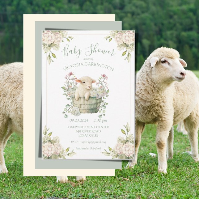 Cute Lamb i en babystövel i Basket Blommigt Inbjudningar (Skapare uppladdad)