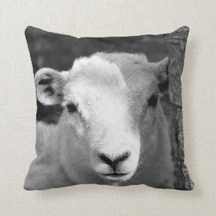 CUTE LAMB KUDDE