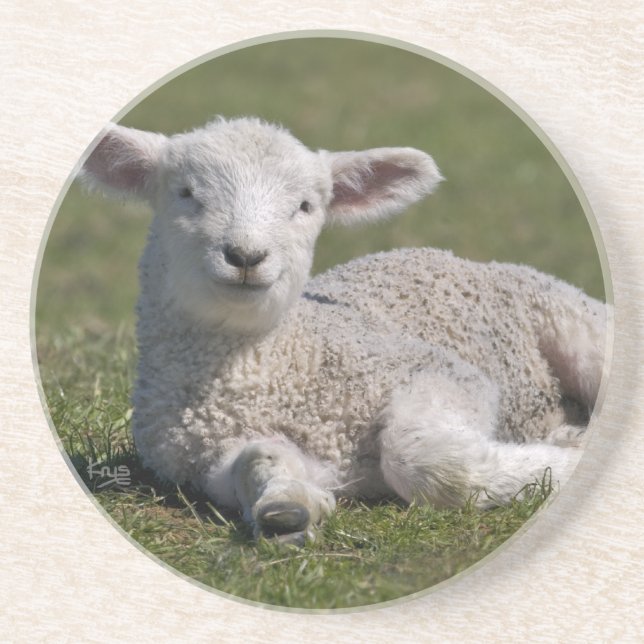 Cute Lamb Underlägg (Framsidan)