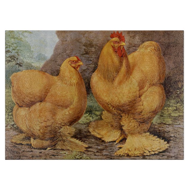 Cute Land-lantgården tupp-höns vintage (Framsidan)