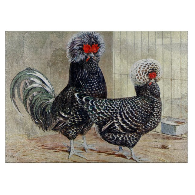 Cute land tupp hen (Framsidan)
