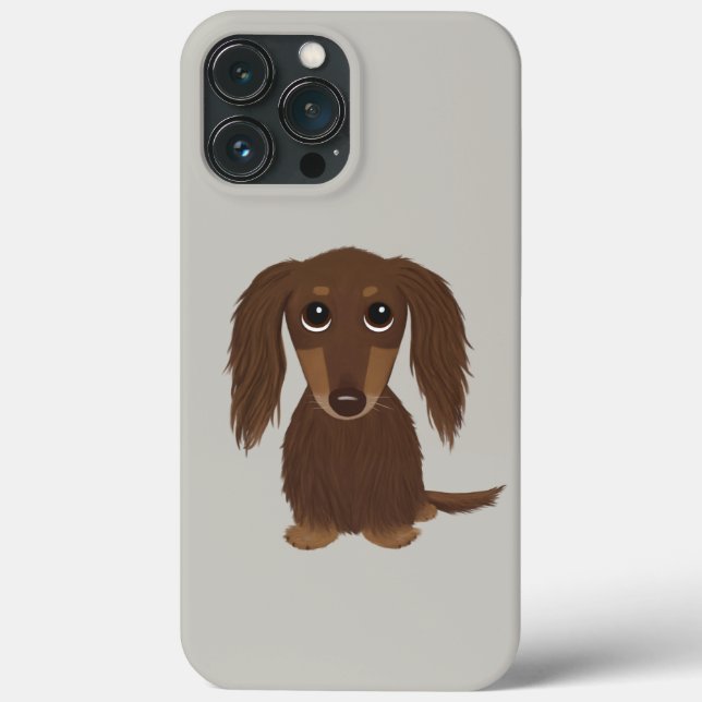 Cute Långhårig Chocolate Brown Dachshund (Baksida)