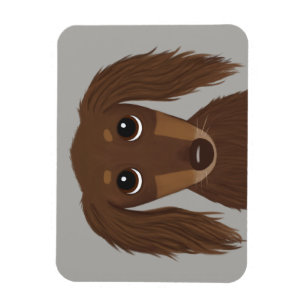 Cute Långhårig Chocolate Brown Dachshund Magnet