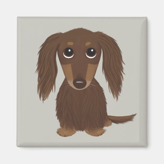 Cute Långhårig Chocolate Brown Dachshund Magnet (Framsidan)