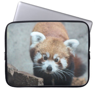 Cute Laptop Fodral