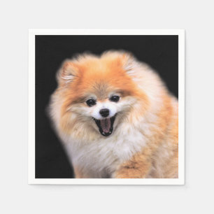 Cute Laughing Pommern Hund Pappersservett