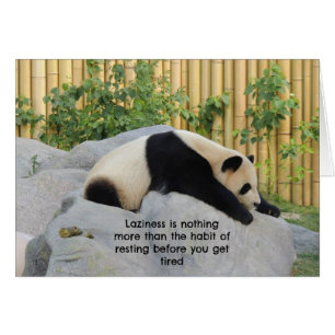 Cute Lazy Day Panda Hälsningskort
