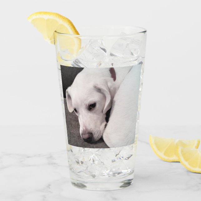 Cute Lazy White Labrador Retriever Mix Hund Glass Glaskopp (Framsida Ice)
