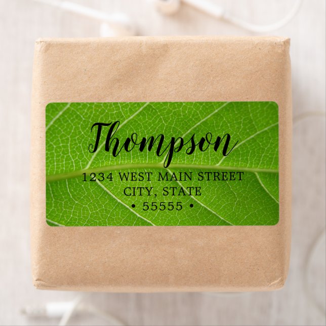 Cute Leafy Grönts Close up of Grönt Löv Fraktsedel (Insitu)