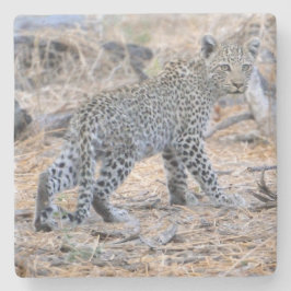 Cute Leopard Unge på väg. Stenunderlägg