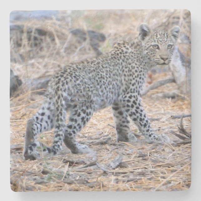 Cute Leopard Unge på väg. Stenunderlägg (Framsidan)