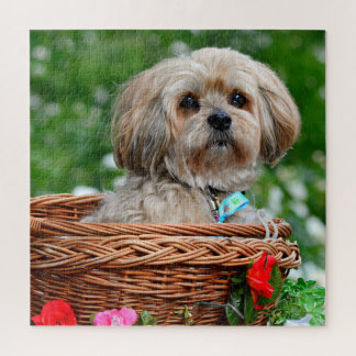 Cute Lhasa Apso Hund i Basket Puzzle Pussel