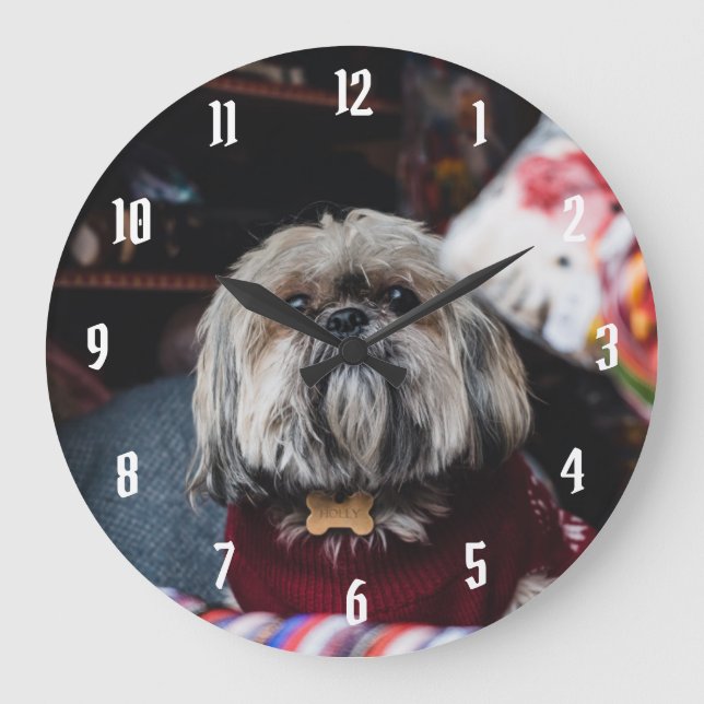 Cute lhasa apso-valpen vid jul b stor klocka (Framsida)
