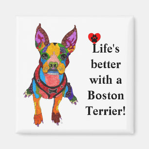 Cute Life är bättre med Boston Terrier Magnet