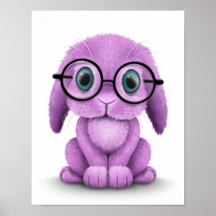 Cute Lila Baby Bunny Wearing Glass on White Poster