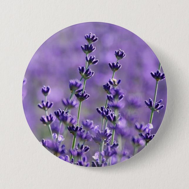 Cute Lila Lavender Flowers Knapp (Framsida)