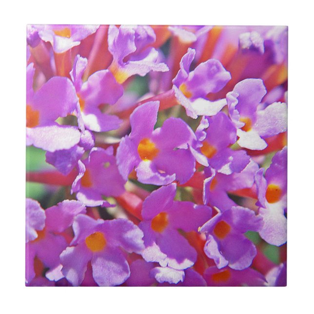 Cute lila, små blommor kakelplatta (Framsidan)