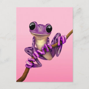 Cute Lila Träd Frog på Gren på Rosa Vykort