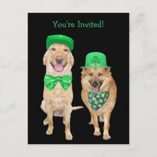 Cute, Lilla St. Patrick's Day Irish Hundar Inbjudningar