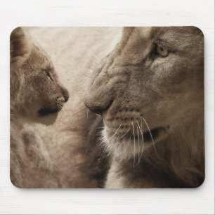 Cute Lioness och Playof Unge Musmatta