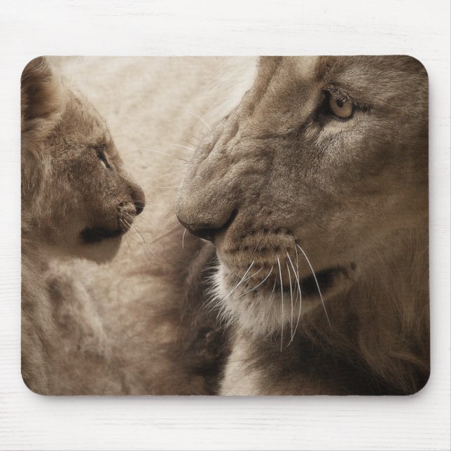 Cute Lioness och Playof Unge Musmatta (Framsidan)