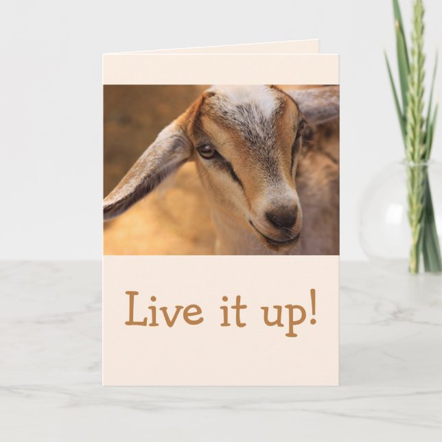 Cute Little Baby Goat Birthday Kort (Framsida)