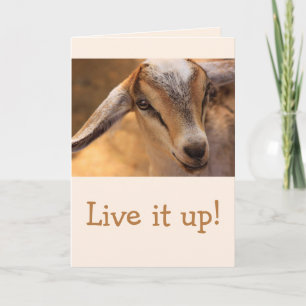 Cute Little Baby Goat Birthday Kort