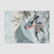 Cute Little bird-Bullfinch, Art