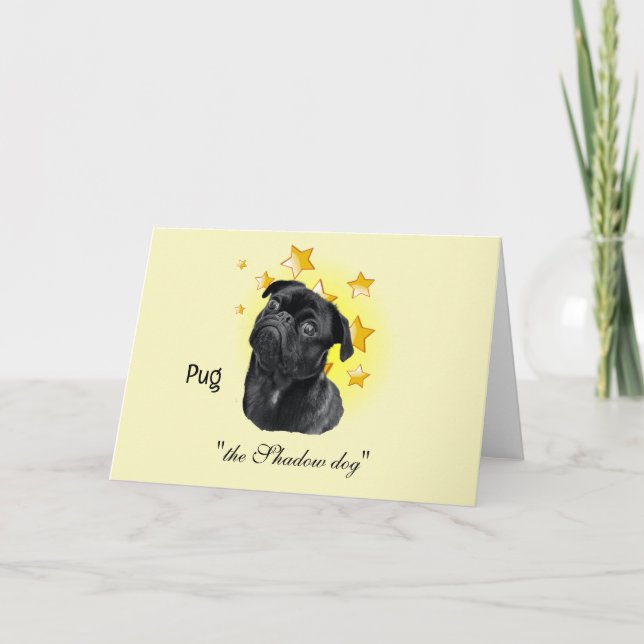 Cute Little Black Pug är en stjärna Kort (Framsida)