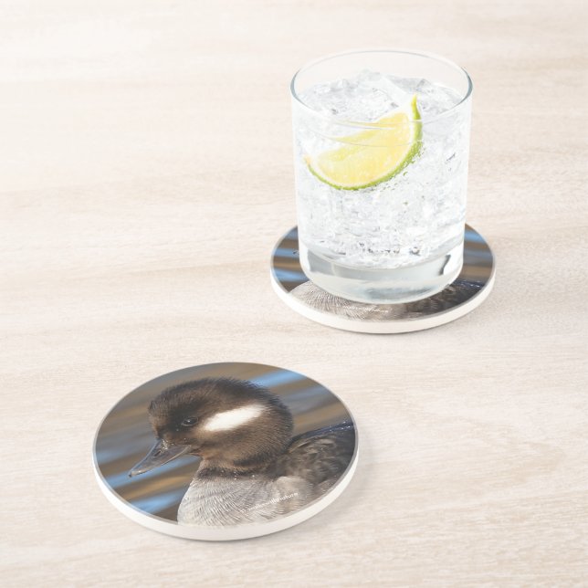 Cute Little Bufflehead Anka på Sunlit Vatten Underlägg (Sidan)