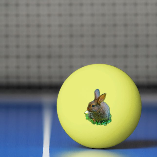 Cute little Bunny Pingisboll (Netto)
