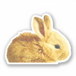 Cute Little Buny Porträtt Klistermärken