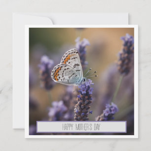 Cute Little butterfly on lavender anpassade