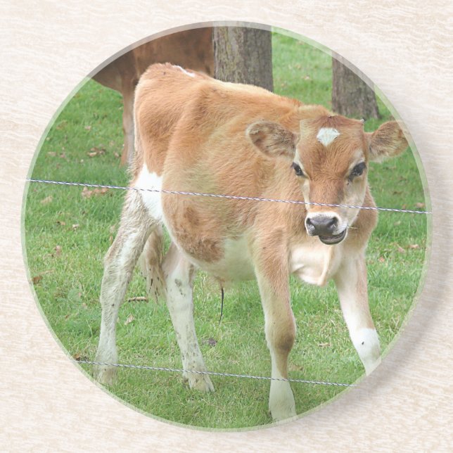 Cute Little Calf Underlägg (Framsidan)