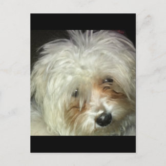 Cute Little Casper Vykort