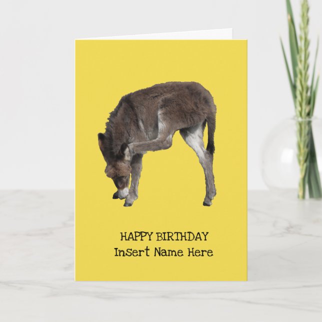 Cute Little Donkey Foal Scratching Ear-mall Kort (Framsida)