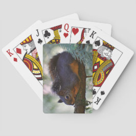 Cute Little Douglas Squirrel Wildlife Photo Casinokort