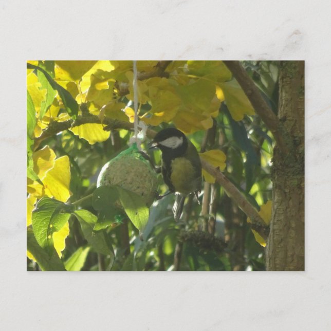 Cute Little EEG Bird DIY Postcard Vykort (Framsida)