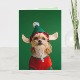 CUTE LITTLE ELF HUND FUNNY CHRISTMAS CARD HELGKORT
