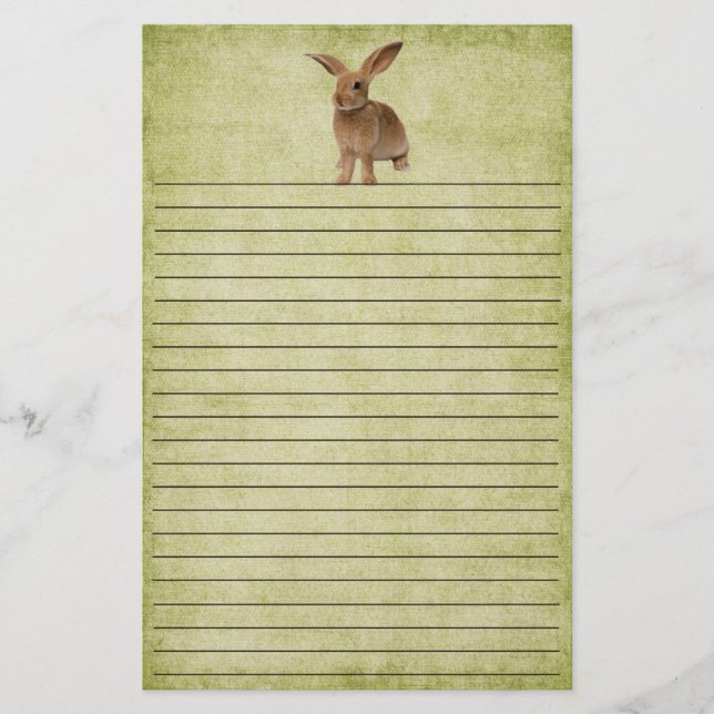 Cute Little Floppy Bunny- Stationery Brevpapper (Framsida)