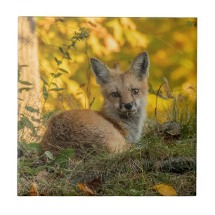 Cute Little Fox Ceramic Tile Kakelplatta