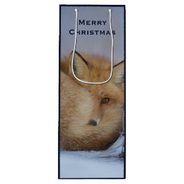 Cute Little Fox Curve Up Winter Photo