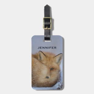 Cute Little Fox Curve Up Winter Photo Bagagebricka