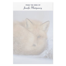 Cute Little Fox Curve Up Winter Photo